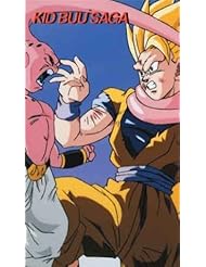 Video: Dragon Ball Z: Kid Buu [VHS] - Funimation Prod