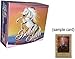 Bella Sara Horses Trading Card Game Series 2 Booster Box (36 Packs)