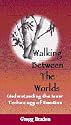 Walking Between the Worlds: Understanding the Inner Technology of Emotion [VHS]