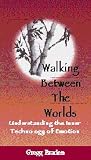 VHS : Walking Between the Worlds