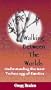 Walking Between the Worlds [VHS]