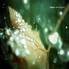Besame-Electronic Spring