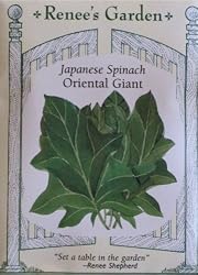 Spinach Japanese Oriental Giant Seeds 425 Seeds