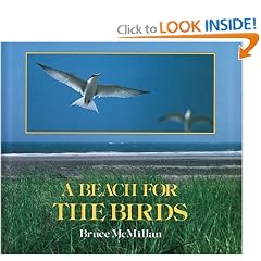A Beach for the Birds