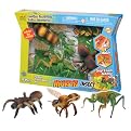 Insect Morphs Set