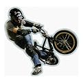 BMX Precut Wall Poster - 36x38.5"