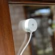 Window Bug