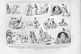 DOSING A DOG Antique Print 1883 FULL INSTRUCTIONS