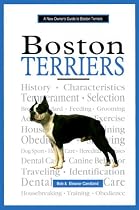 A New Owner's Guide to Boston Terriers