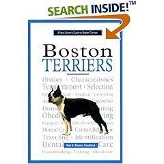 A New Owner's Guide to Boston Terriers