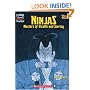 Ninjas: Masters of Stealth and Secrecy (High Interest Books)