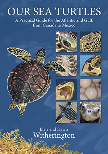 our sea turtles a practical guide for the atlantic and gulf from canada to mexico