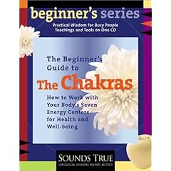 The Beginner's Guide to the Chakras