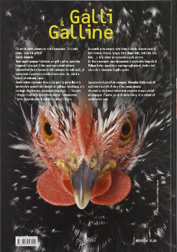 Le Galline Selvatiche E L Amore