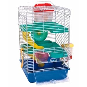 Funny Cat Pictures Without Captions