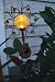 Whimsy Sun Solar Garden Stake Light