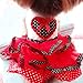 PanDaDa Pet Dog Tutu Princess Dress Clothes Love Heart Print Bowknot Party Skirt XXL