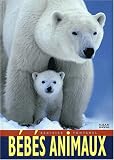B�b�s animaux