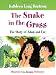 The Snake in the Grass: The Story of Adam and Eve
