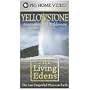 Living Edens - Yellowstone - America's Sacred Wilderness [VHS]