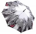 Canals of Venice - Folding Umbrella