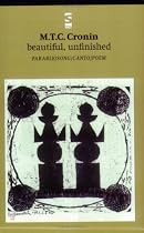 beautiful, unfinished: Parable/song/canto/poem (Salt Modern Poets)