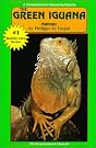 The Green Iguana...