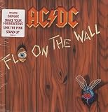 Fly On The Wall