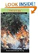 Friction: An Ethnography of Global Connection