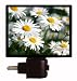Floral / Flower Night Light - Spring Daisies