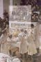 A Brief History of Disease, Science and Medicine: From the Ice Age to the Genome Project