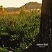 Andrew Bird, Noble Beast, 発売中