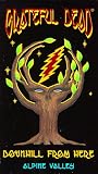 VHS : The Grateful Dead - Downhill from Here