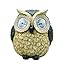 Moonrays 92432 Solar Powered White LED Wise Owl, 6X5.5-Inches, Styles May Vary