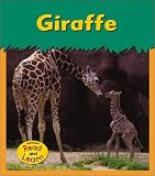  : Giraffe (Zoo Animals)