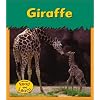 Giraffe (Heinemann Read and Learn)