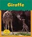 Search : Giraffe (Zoo Animals)