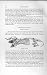 Natural History 1893-94 Skeleton Mole Family Talpidae