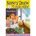 Pony Problems (Nancy Drew and the Clue Crew #3)
