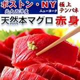 北大西洋産 極上 天然 本マグロ 