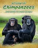 A troop of chimpanzees and other primate groups