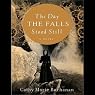 The Day the Falls Stood Still: A Novel