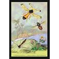 Buyenlarge - Insects: Ctenophora Pectinicornis, Tabanus Tropicus, et al. 20x30 poster