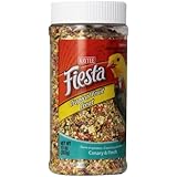 Kaytee Pet Products BKT100502828 Fiesta Tropical Fruit Canary and Finch Treat Jar, 10-Ounce