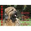 Metall-Warnschild Briard, Berger de Brie