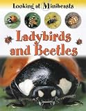 Cover of Ladybirds and Beetles by Sally Morgan 1841381667