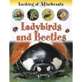 Ladybirds and Beetles (Looking at Minibeasts)