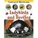 Ladybirds and Beetles (Looking at Minibeasts)