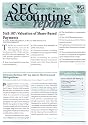 Sec Accounting Report