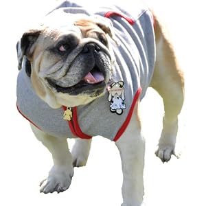 Dog Hoodie, Gray Bulldog Large